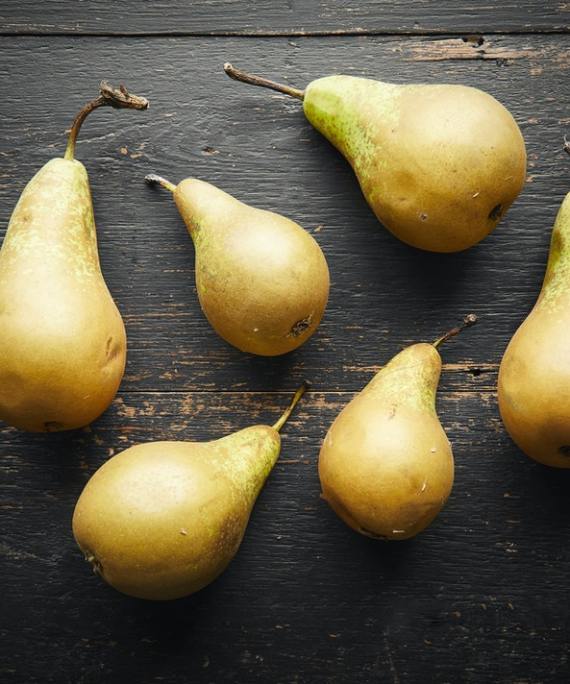 #conference pears